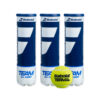 Babolat Team All Court Tennis Balls - 1 dozen